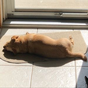 Meet your Posher, Daniel